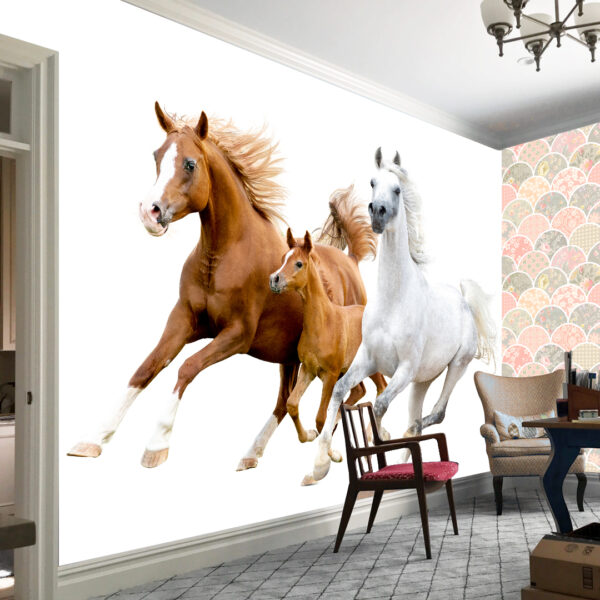 Horse Wallpaper DDS318