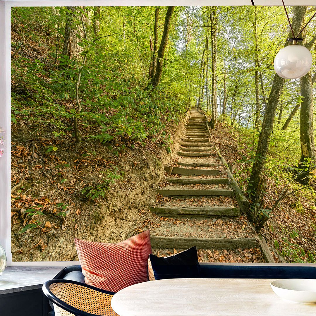 3D Nature Wallpaper DDS344