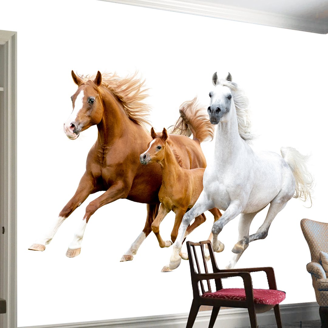 Horse Wallpaper DDS318 - Image 2
