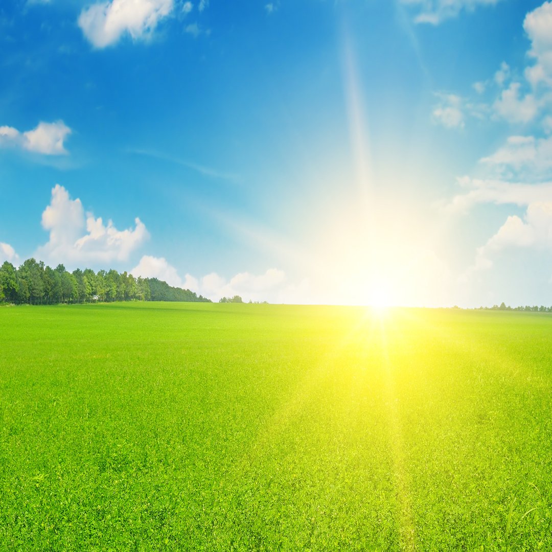 3D Nature Wallpaper DDS309 - Image 3