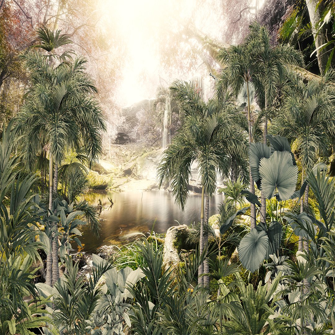 3D Tropical Tree Wallpaper DDS387 - Image 3