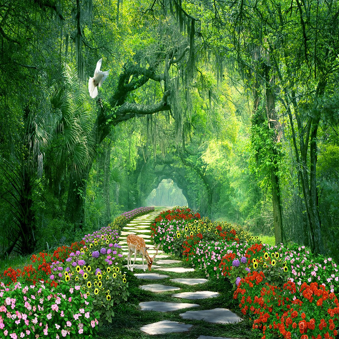 3D Tropical Forest Wallpaper DDS302 - Image 3