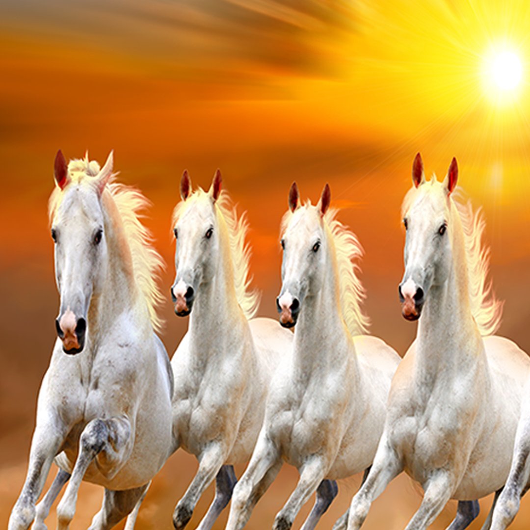 Customised 3D Horse Wallpaper DDS374 - Image 4