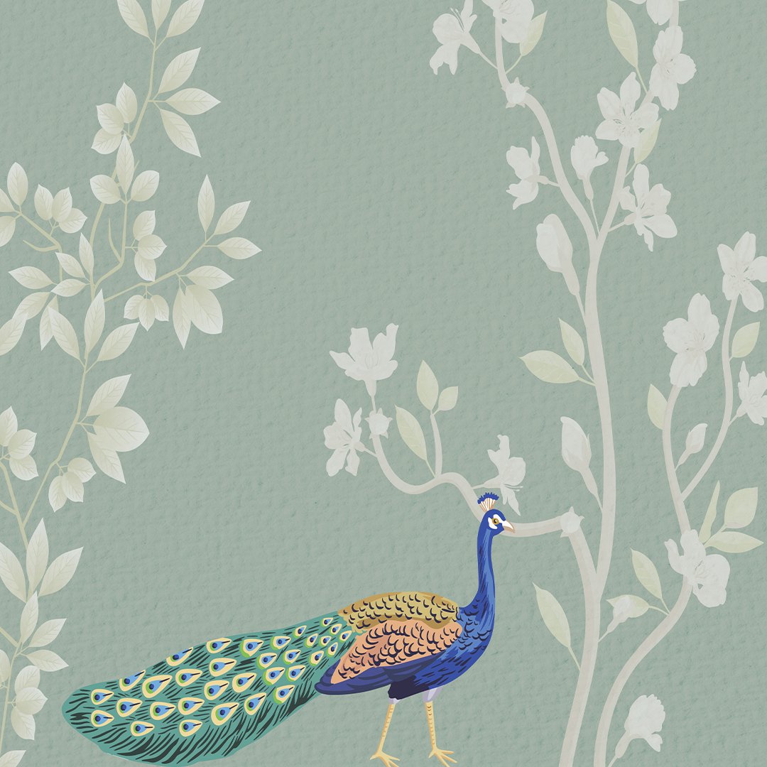 Peacock Customized Wallpaper DDS556 - Image 5