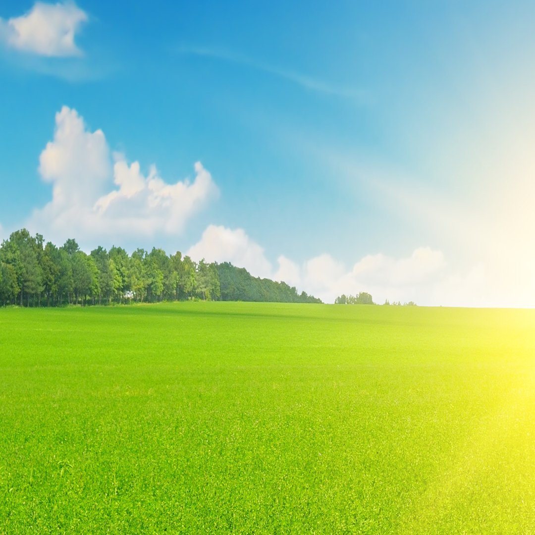 3D Nature Wallpaper DDS309 - Image 4