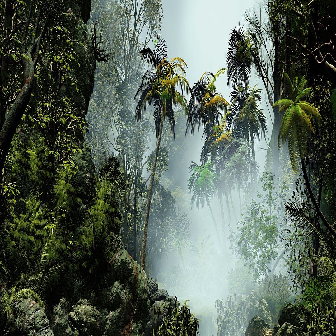 3D Tropical Tree Wallpaper DDS291 - Image 4