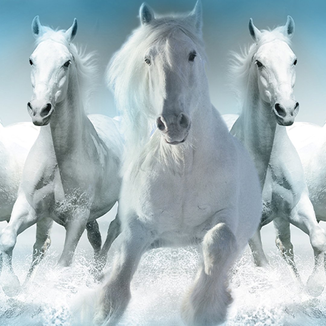 Customised 3D Horse Wallpaper DDS377 - Image 3