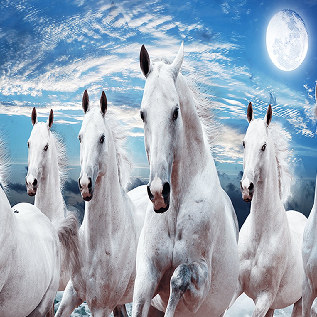 Customised 3D Horse Wallpaper DDS372 - Image 4