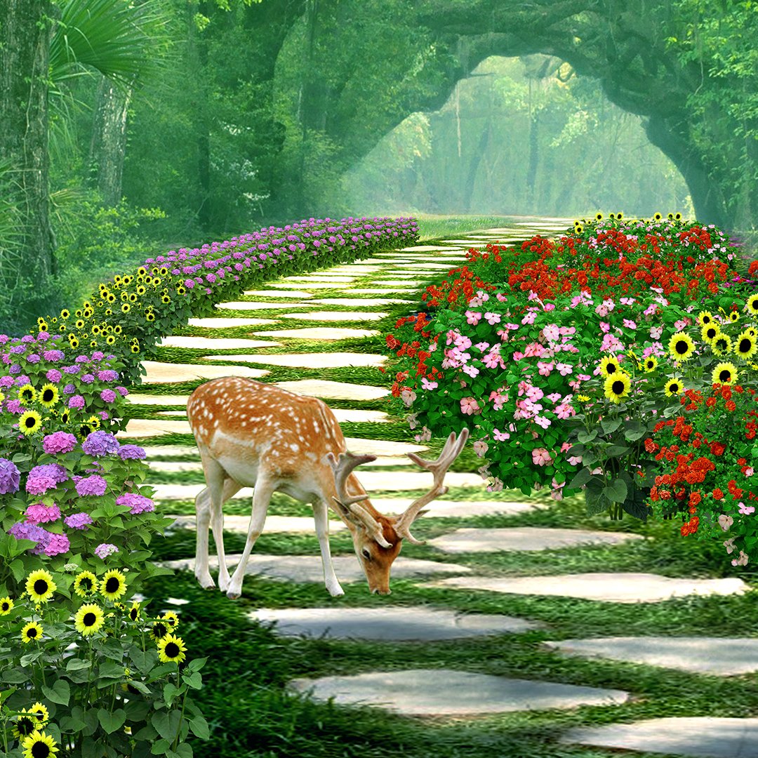 3D Tropical Forest Wallpaper DDS302 - Image 4