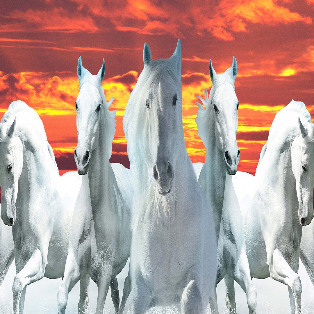 Customised 3D Horse Wallpaper DDS434 - Image 4